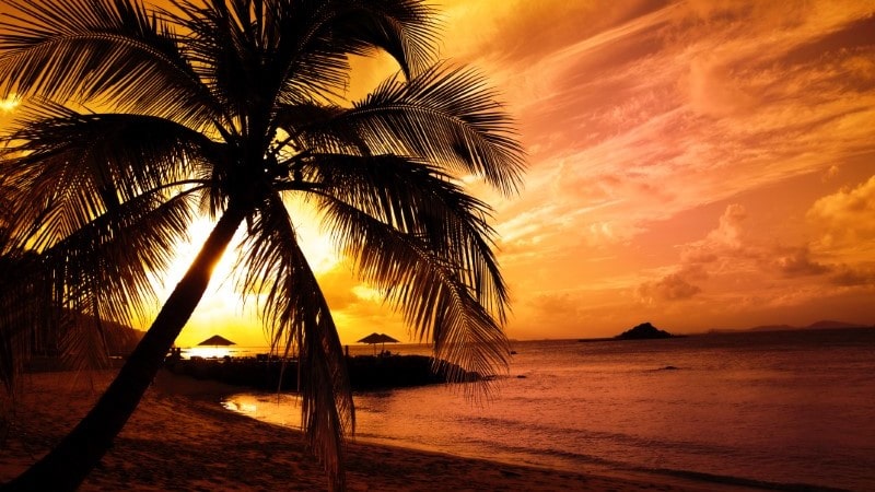 Florida Key West sunset
